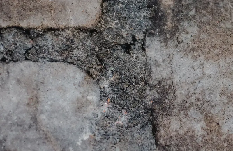 Close-up of cracked concrete